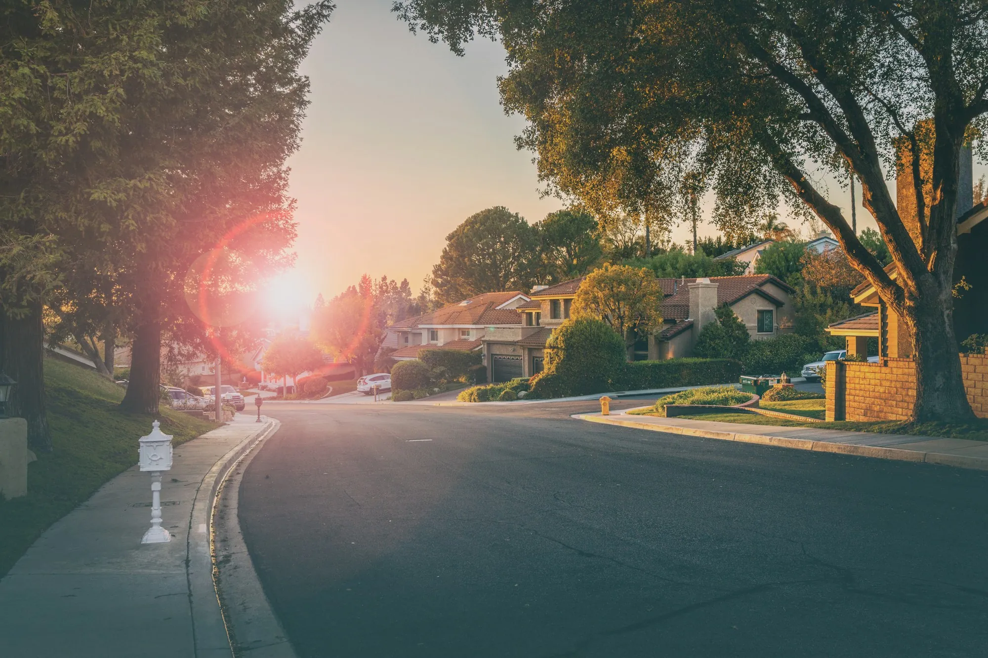 Sunlit suburban street lined with trees and homes